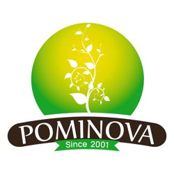 Pominova SRL, Carei