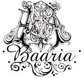 SC Baaria SRL, Slatina