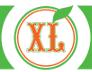 Grup Xl Company SRL, Iaşi