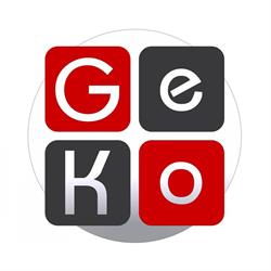 GeKo SRL,asigurări, incasari facturi, depuneri si retrageri Betano, okto, paysafecard, Râmnicu Vâlcea
