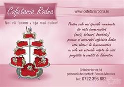 Rodna S.r.l, Baia Mare