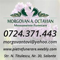 Morgovan Octavian, Salonta