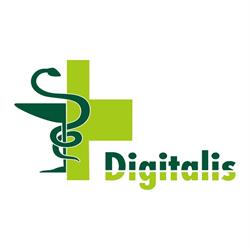 Digitalis S.r.l, Carei