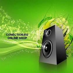 Conection SRL, Timişoara