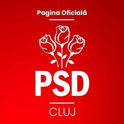 Partidul Democrat Cluj-Napoca