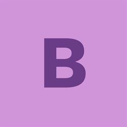 Benedek & Co S.r.l, Baia Mare