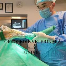 Univet S.r.l, Iaşi