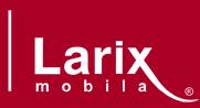 Larix Forest SRL, Reghin