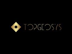 Topgeosys, Suceava