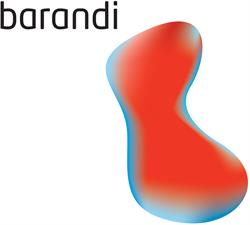 Barandi Solutions, Cluj-Napoca