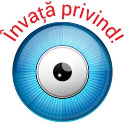 Soft EDU, Timişoara