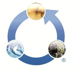 SC Ecoinstal IT Consult SRL, Reghin
