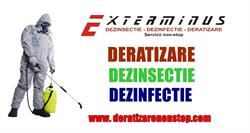 Exterminus srl, Voluntari