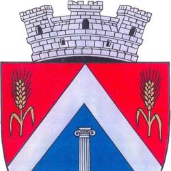 Primaria Orasului Ludus