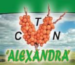 Complexul de Terapie Naturala Alexandra SA, Breaza de Jos