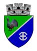 Primaria Avrig