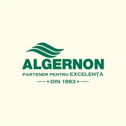 Algernon, Bucureşti