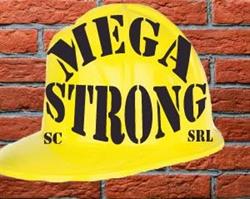 SC Mega Strong SRL, Arad