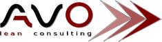 SC Avo Lean Consulting SRL, Alba Iulia