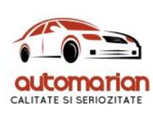 Automarian SRL, Reghin