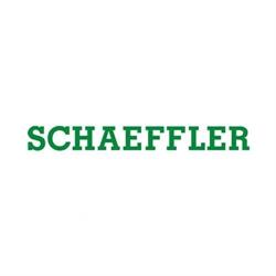 Schaeffler România S.r.l., Cristian