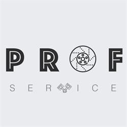 Prof Service SRL, Mărăcineni