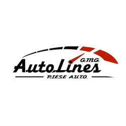 Auto Lines Gmg SRL, Orăştie