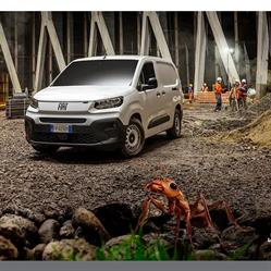 Aco Distribution SRL, Baia Mare