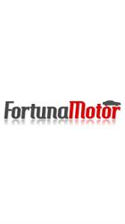 Fortuna Motor, Baia Mare