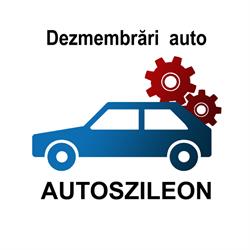 Autoszileon SRL, Sântana de Mureş