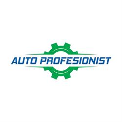 Auto Profesionist SRL, Satu Mare