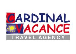 Cardinal Vacance, Timişoara