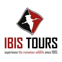 Ibis Tours, Tulcea