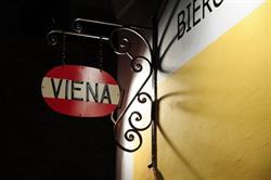 Viena, Cluj-Napoca