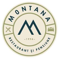 Bistro Montana - Curtea de Arges