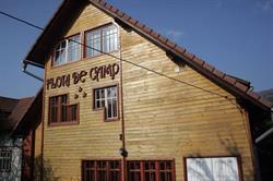 Flori de Camp, Vatra Dornei