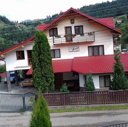 Anca, Borşa