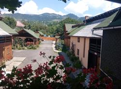 Poiana, Borşa