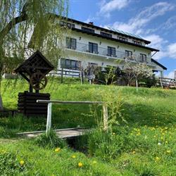 PANORAMIC LODGE BRAN, Bran
