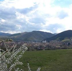 Phoenix, Răşinari
