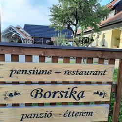 Borsika pensiune si restaurant, Ciumani