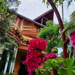 Casa Ara, Breaza