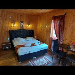 La Cristina, Sinaia