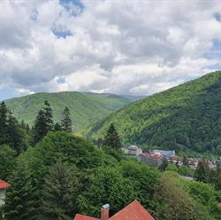T.v. Condor, Sinaia