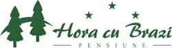 Pensiunea Hora Cu Brazi, Zărneşti