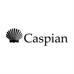 Caspian Sea Impex SRL, Bucureşti