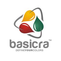 BASICRA ProdServ SRL, Craiova