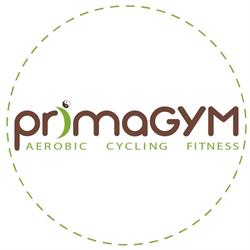 Primagym, Satu Mare