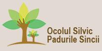 Ocolul Silvic Padurile Sincii, Şercaia