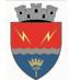 Primaria Orasului Turceni